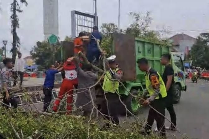 Pohon Tumbang Timpa Jamaah Salat Id di Pemalang Jawa Tengah, Dua Orang Meninggal, Belasan Luka-luka