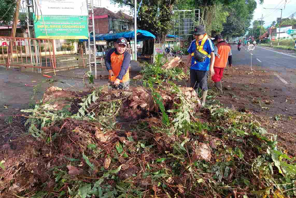 Ranting Pohon Besar Patah Tutup Akses Jalan Gondanglegi, Pemudik Wajib Berhati-hati