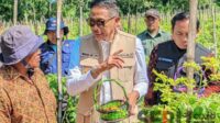 Wali Kota Malang Optimis Panen Cabai Lokal Mampu Menekan Harga Pasaran
