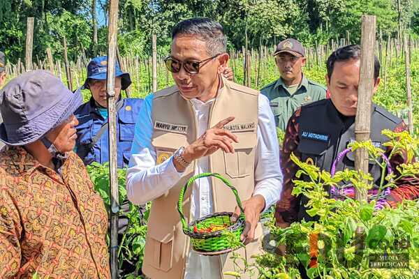 Wali Kota Malang Optimis Panen Cabai Lokal Mampu Menekan Harga Pasaran