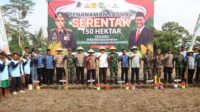 Acara menanam jagung dari beberapa pihak, di di Desa Rembun Kecamatan Dampit ini. (ist) - Sanusi Berharap Agar Program Penanaman Jagung Bisa Bermanfaat untuk Masyarakat