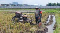 Babinsa Lowokwaru dampingi petani Tunggulwulung olah sawah. (ist) - Babinsa Lowokwaru Dampingi Petani Tunggulwulung Olah Sawah