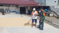 Babinsa Tunggulwulung Dampingi Petani Jaga Kualitas Gabah Kering Giling