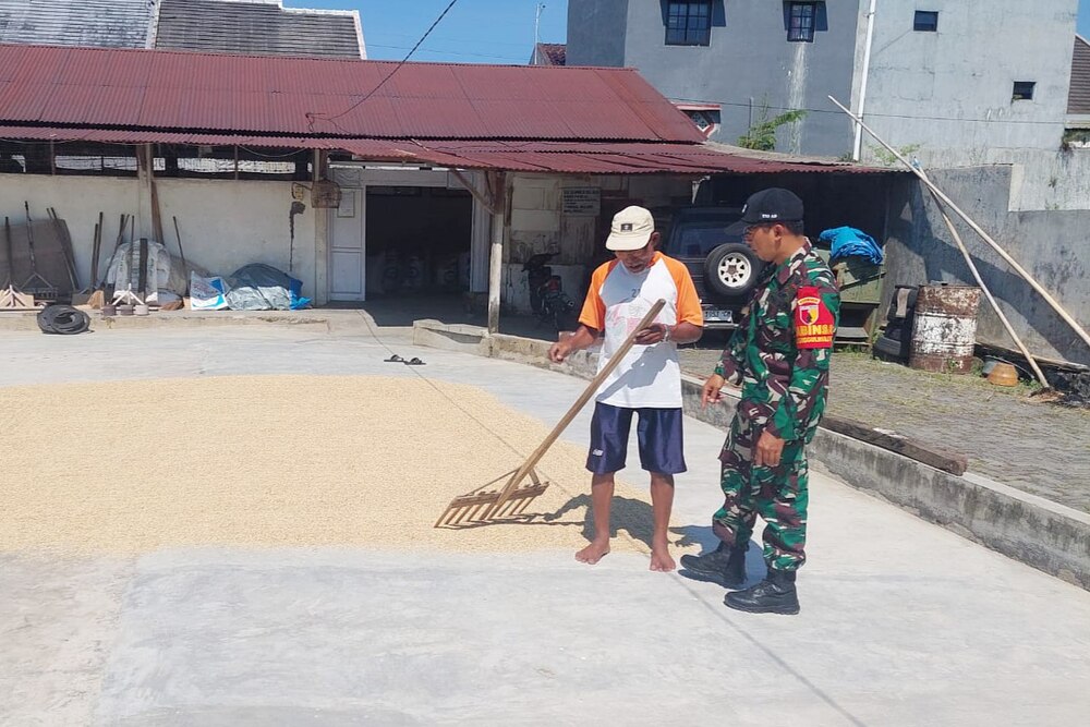 Babinsa Tunggulwulung Dampingi Petani Jaga Kualitas Gabah Kering Giling