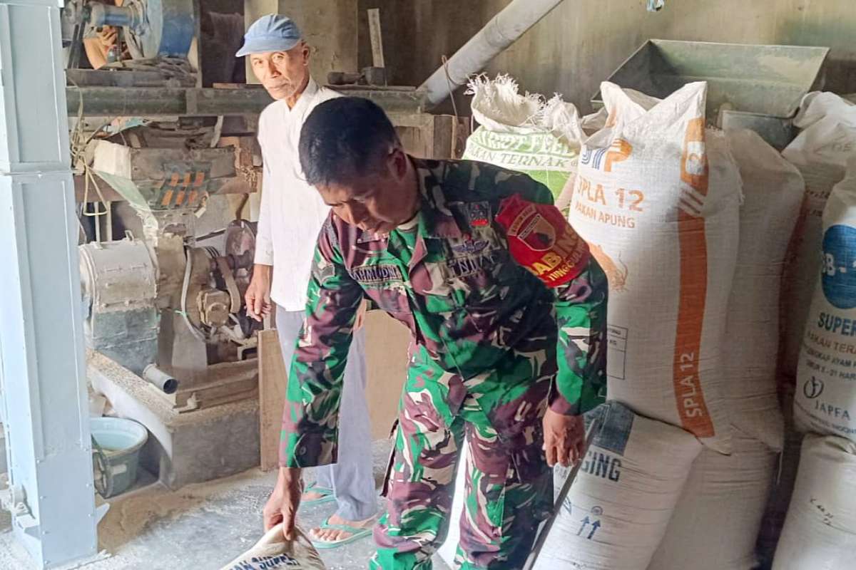 Babinsa Tunggulwulung monitoring  stabilitas harga gabah di tingkat petani. (ist) - Babinsa Tunggulwulung Monitoring  Stabilitas Harga Gabah di Tingkat Petani