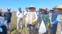 Dandim 0833 Dampingi Forkopimda Kota Malang Panen Raya Serentak