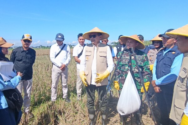 Dandim 0833 Dampingi Forkopimda Kota Malang Panen Raya Serentak