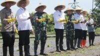 Dandim 0833 Hadiri Penanaman Padi Poktan Sri Murni di Lowokdoro