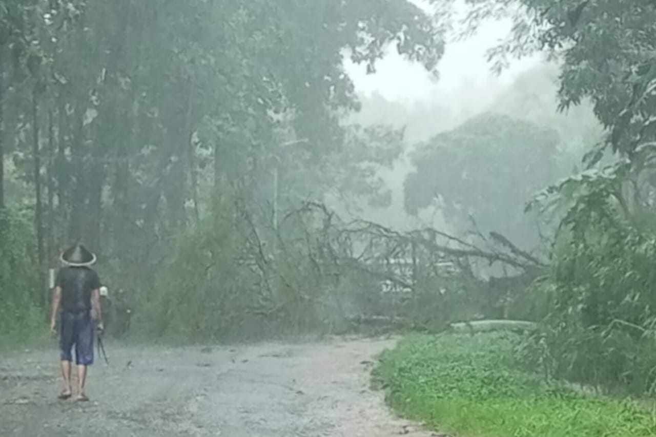 Pohon Tumbang di Gunung Geger Pagak, Akses Jalan Tertutup Total