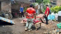 Kondisi rumah roboh oleh cuaca ekstrem di Kecamatan Pakisaji yang sudah dibersihkan. (ist) - Rumah Kakek Sebatang Kara di Pakisaji Roboh Setelah Diterjang Hujan dan Angin Kencang
