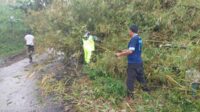 Lokasi longsoran rumpun bambu di Dusun Krajan RT1/RW2, Desa Ketindan, Kecamatan Lawang, kabupaten Malang yang menutup jalan. (ist) - Material Longsoran Rumpun Bambu Tutup Akses Jalan Desa Ketindan Lawang