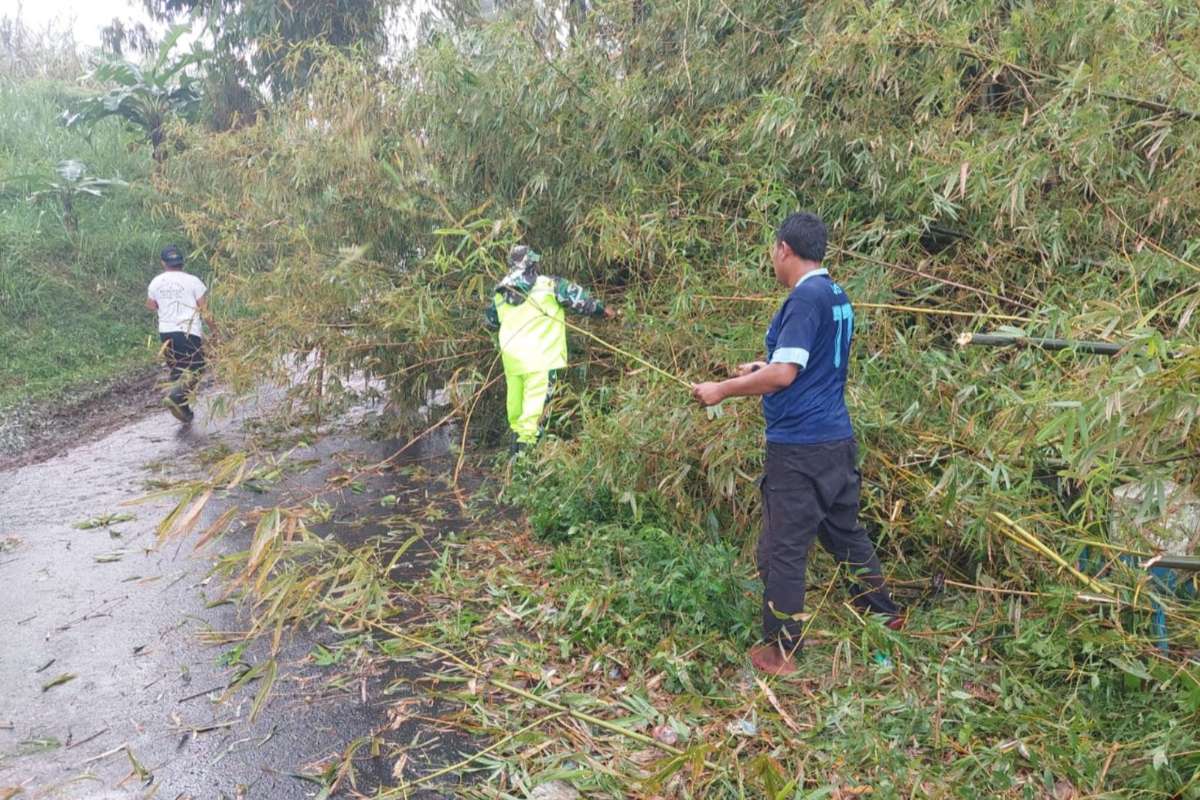 Lokasi longsoran rumpun bambu di Dusun Krajan RT1/RW2, Desa Ketindan, Kecamatan Lawang, kabupaten Malang yang menutup jalan. (ist) - Material Longsoran Rumpun Bambu Tutup Akses Jalan Desa Ketindan Lawang