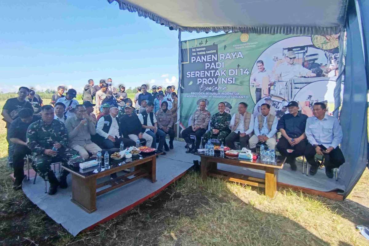 Panen raya padi digelar serentak di 14 provinsi melalui zoom meeting. (ist) - Panen Raya Serentak 14 Provinsi, Pemkot Malang Maksimalkan Potensi Panen Padi di Perkotaan