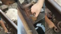Tangkapan Layar video baut rel longgar di Jember. (Istimewa) - Bocah di Jember Laporkan Baut Rel Longgar yang Membahayakan Perjalanan Kereta Api