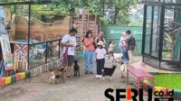 Serunya Interaksi Dengan Satwa di Eco Interactive Park Batu