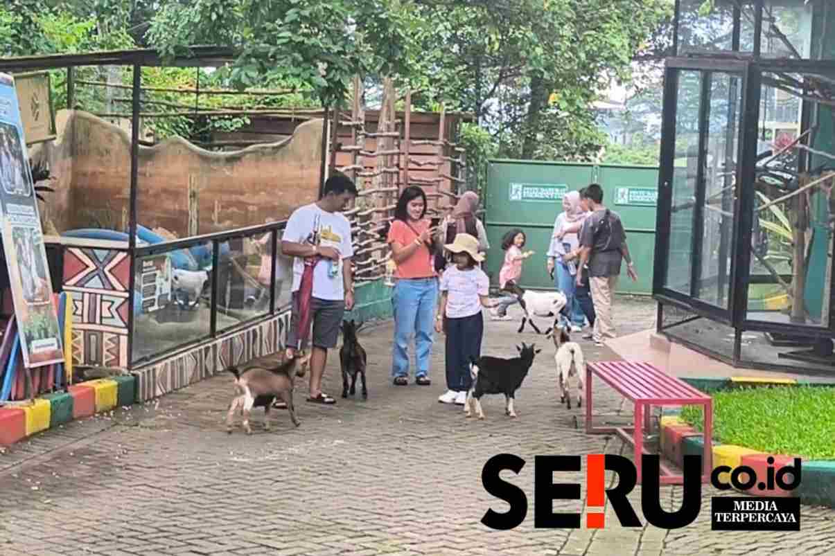 Serunya Interaksi Dengan Satwa di Eco Interactive Park Batu