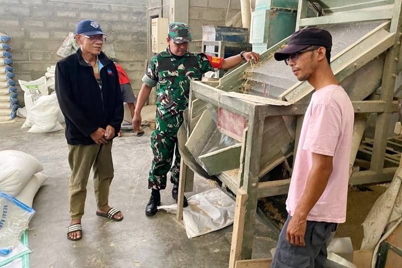 Babinsa Balearjosari Monitoring Pengeringan Padi Petani Hasilkan Gabah Berkualitas
