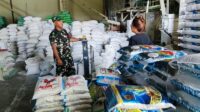 Babinsa Buring Monitoring Penggilingan Padi Pastikan Stok Beras Aman