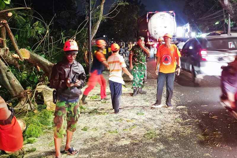 Babinsa Buring Sigap Bantu Evakuasi Pohon Tumbang Timpa Kendaraan R4