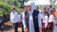 Jelang Iduladha, Khofifah Pastikan Tidak Ditemukan Kasus PMK di Jawa Timur