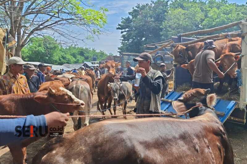 Dispangtan Kota Malang Jelaskan Cara Pengelolaan Limbah Hewan Kurban Cegah Pencemaran