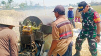 Babinsa Kebonsari Dampingi Petani Percepatan Serapan Gabah dan Ketahanan Pangan