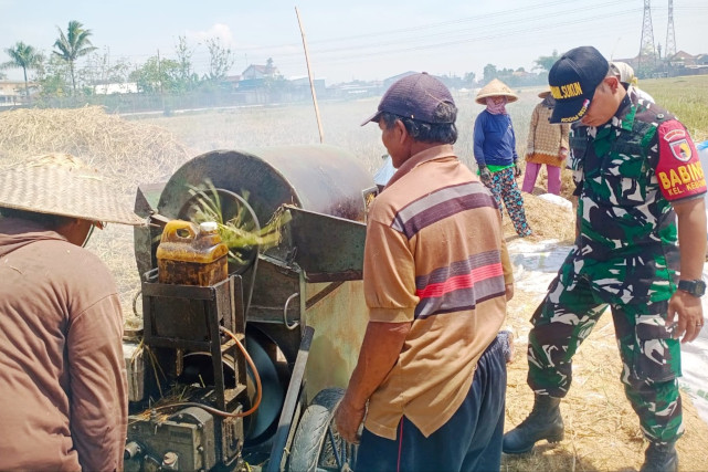 Babinsa Kebonsari Dampingi Petani Percepatan Serapan Gabah dan Ketahanan Pangan