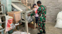 Babinsa Balearjosari Monitoring Penyerapan Gabah Sentra Penggilingan UD Terang Jaya