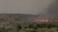 Kebakaran Hutan Mengganas, Israel Minta Bantuan Internasional