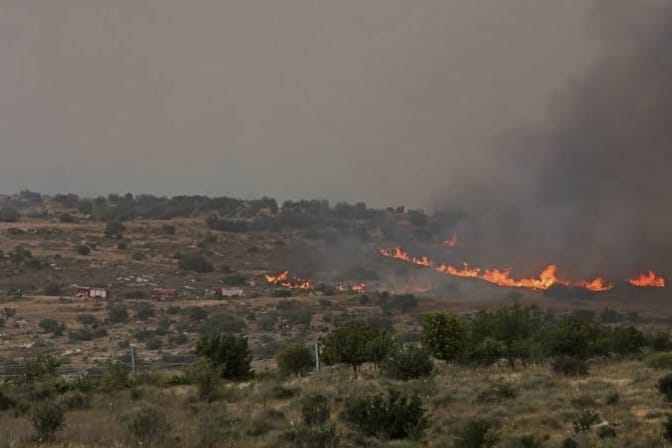 Kebakaran Hutan Mengganas, Israel Minta Bantuan Internasional