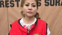 Jan Hwa Diana dan Suami Ditetapkan Tersangka Kasus Pengrusakan Mobil Pick Up