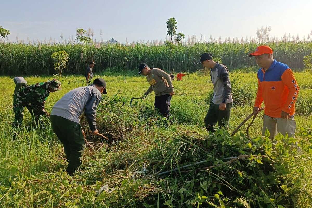 Koramil 0833/02 Kedungkandang Karya Bakti Merawat Pohon Keras dan Buah