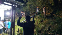 Tertimpa Rumpun Bambu, Rumah Warga Lawang Rusak dan Pemilik Alami Luka - luka