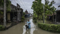 11 Desa di Demak Terendam Banjir Akibat Jebolnya Tanggul Sungai Tuntang