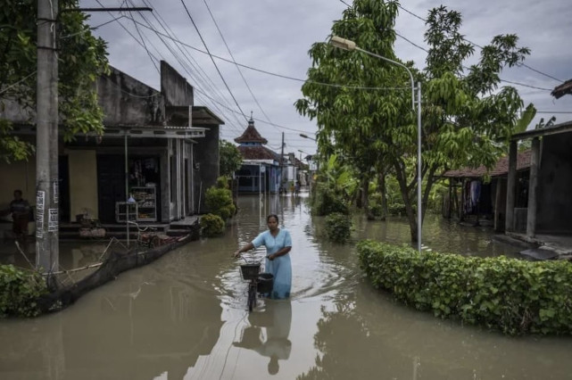 11 Desa di Demak Terendam Banjir Akibat Jebolnya Tanggul Sungai Tuntang