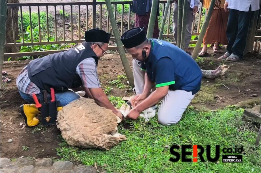 Lazisnu Batu Bekali 200 Juru Sembelih Hewan Kurban dengan Pelatihan Khusus