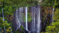 Pemkab Malang dan Lumajang Sepakat Menghapus Tiket di Dasar Coban Sewu