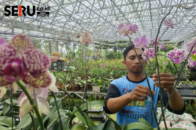 Kebun 123 Turen Jadi Surga Tanaman Hias Sejak 2015 Silam