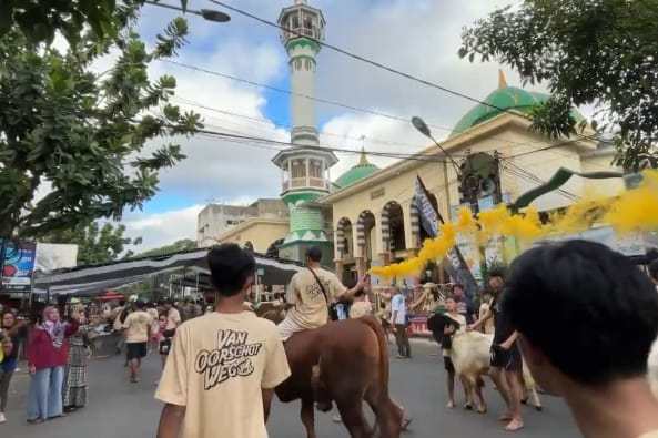 Sambut Iduladha, Begini Uniknya Tradisi Arak-arakan Hewan Kurban Kampung Kidul Pasar Malang