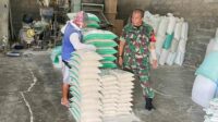 Babinsa Blimbing Monitoring Penggilingan Padi di UD Terang Jaya, Jaga Kestabilan Harga Gabah