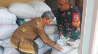 Babinsa Tlogowaru Dampingi Petani Penggilingan Padi Dorong Kemandirian Pangan