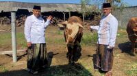 Eratkan Silaturahmi Dengan Masyarakat, Bupati Malang Salurkan Hewan