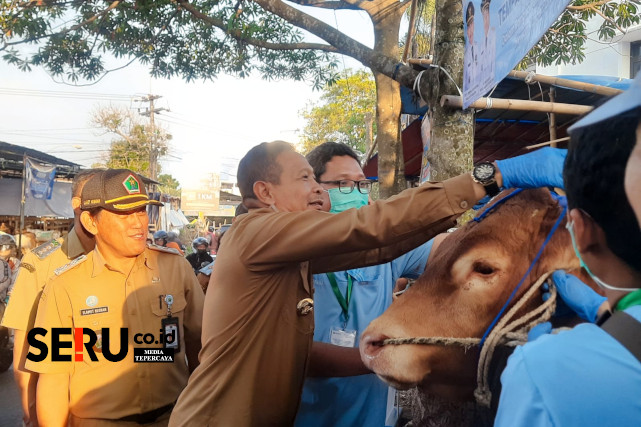 Wali Kota Malang Tinjau Lapak Hewan Kurban Pastikan Bebas Penyakit Jelang Iduladha