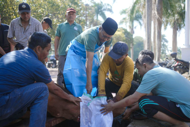 Proses penyembelihan hewan kurban di UMM dipastikan aman, karena para penyembelih sudah terlatih. (ist)