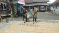 Babinsa Kedungkandang Dampingi Pengeringan dan Penggilingan Padi Hasil Panen Petani Tlogowaru
