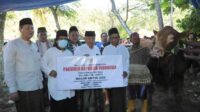 Sapi Kurban Seberat Satu Ton dari Presiden Disalurkan ke Masjid Baitul Aziz, Donomulyo