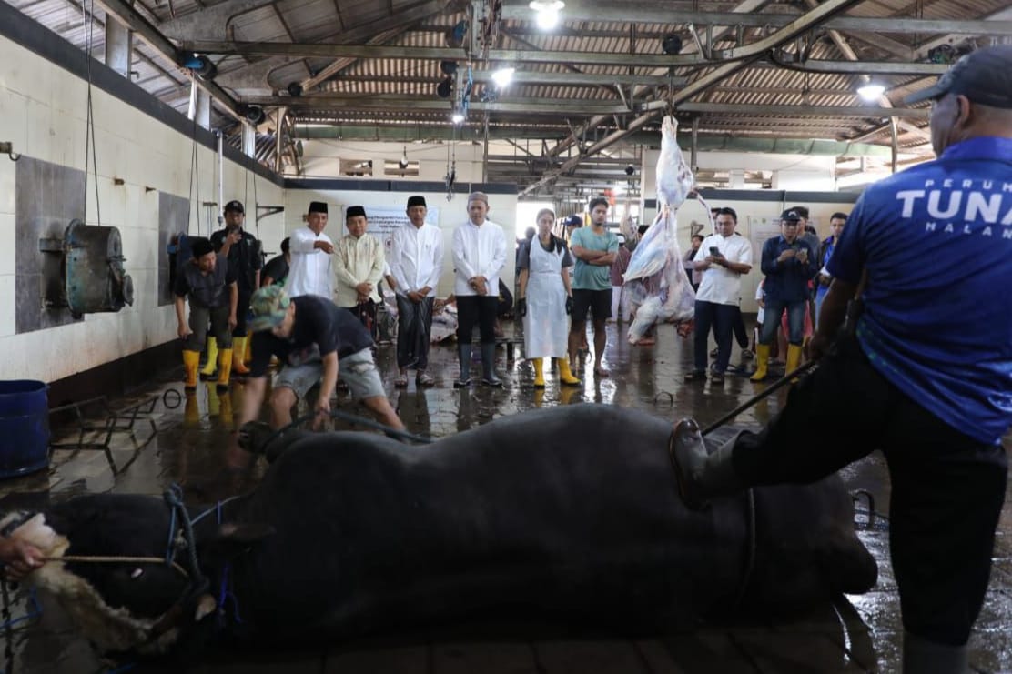 Wali Kota Malang Apresiasi Bantuan Sapi Kurban Presiden Prabowo Berdayakan Peternak Lokal