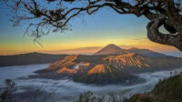 Selama Libur Panjang Gunung Bromo Dibanjiri 11.735 Wisatawan Lokal dan Mancanegara