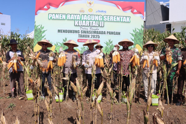 Kapolres Batu Bersama Forkopimda Kota Batu Panen Raya Jagung Serentak Kuartal II
