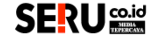 Seru.co.id